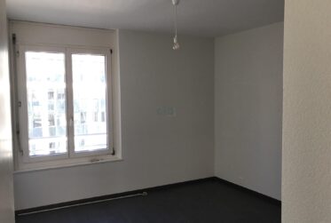 5 Rooms Flat, Renovated flat