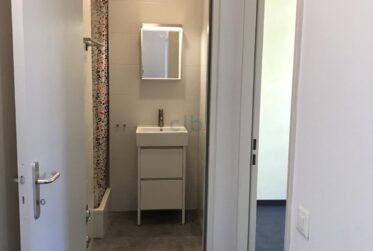 5 Rooms Flat, Renovated flat