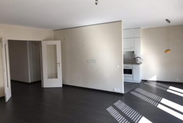 5 Rooms Flat, Renovated flat